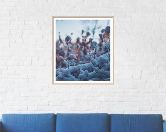 Snowy Morning Photograph | Nature Wall Decor | Winter Photography