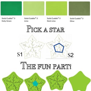 May include: An image with text that says "Choose a Color", displaying four color swatches: Kelly Green, Lime, Dark Lime, and Olive. The text "Pick a Star" is above two star designs, labeled S1 and S2. The text "The Fun Part!" is above leaf designs.