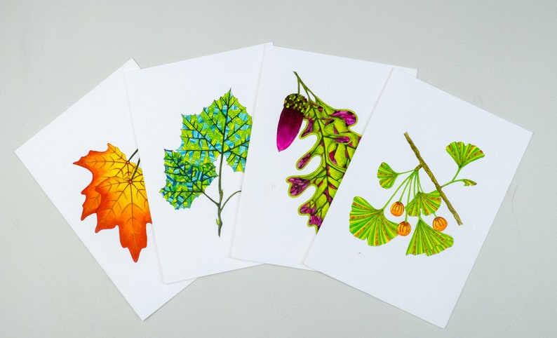 Leaf greeting card assortment, Autumn leaves set, Maple, Ginkgo, Sycamore, Oak image 8