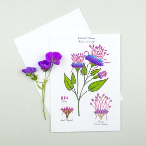 Botanical art card assortment, Handmade flower discount card set, Whimsical watercolor flowers image 3