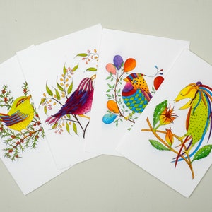 Juego de tarjetas de felicitación con pájaros, juego de tarjetas para amantes de los pájaros, paquete de tarjetas con pájaros coloridos, pájaros extravagantes, tarjetas de agradecimiento, tarjetas de aliento