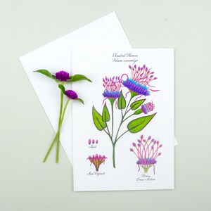 Botanische illustratie, unieke kaart, blanco bloemenkaart, botanisch onjuist, rankbloem
