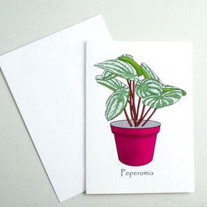 Carte de voeux pastèque peperomia, Peperomia argyreia, cartes pour plantes d'intérieur, carte pour amoureux des plantes, carte pour soins des plantes