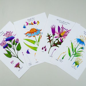 Variedade de cartões de arte botânica, conjunto de cartões de desconto de flores artesanais, flores aquarela caprichosas