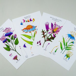 Botanical art card assortment, Handmade flower discount card set, Whimsical watercolor flowers image 1