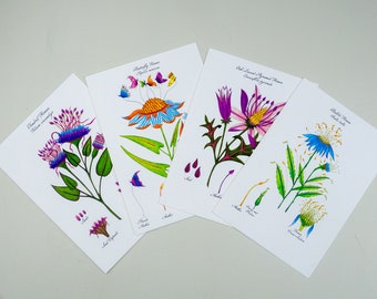 Botanical Art Card Set: Whimsical Watercolor Flower Prints, Buy Any or All of the 4 Card Set