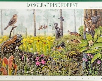 Longleaf Pine Forest Stamps, Nature of America Series, Included are Pitcher Plant, Gray Fox, Bobwhite and more