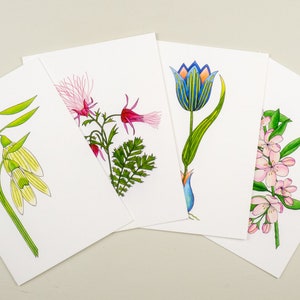 Jeu de cartes de jardinier, assortiment de cartes de saison printanière, fleurs de pomme, perce-neige, fumée de prairie, carte de voeux tulipe, idée cadeau de Noël