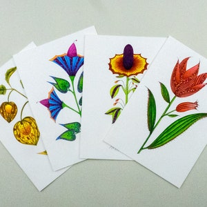 Asortyment kart okolicznościowych, Zestaw kart botanicznych, Papier listowy kwiatowy, Seria Solitaries, Zestaw kart ręcznie robionych, Karty ludowe