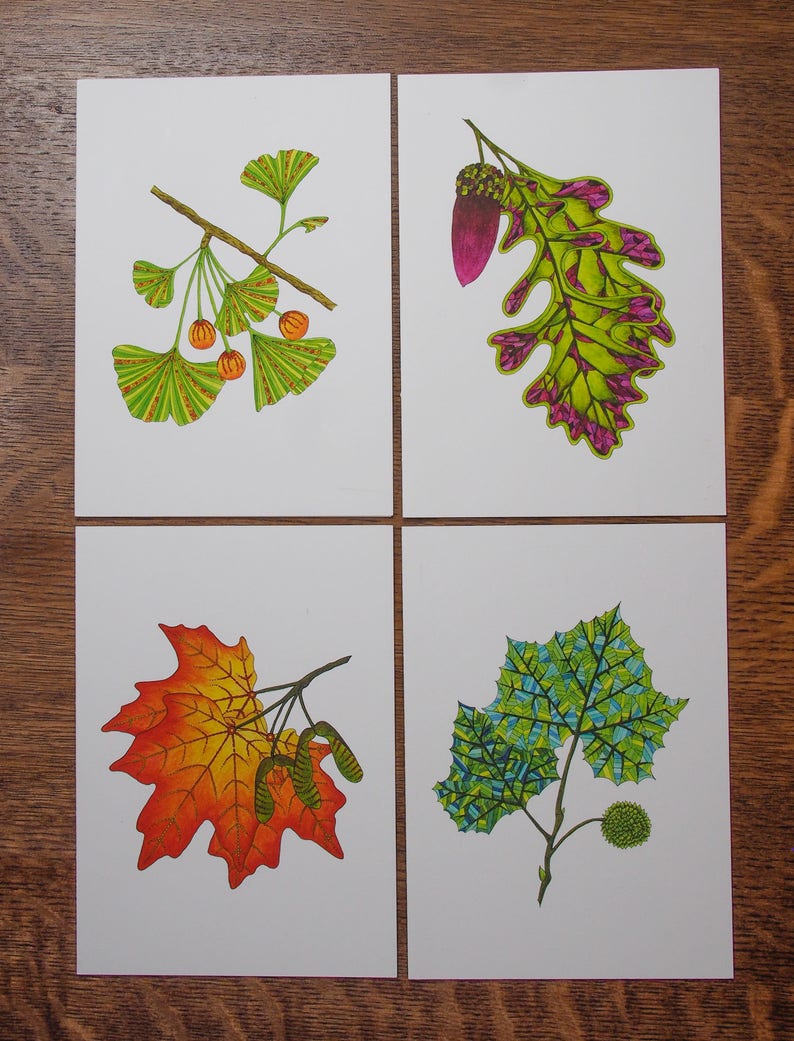 Leaf greeting card assortment, Autumn leaves set, Maple, Ginkgo, Sycamore, Oak image 2