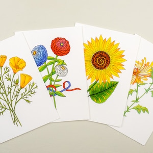 Ensemble de carte de jardinier, assortiment saisonnier de carte d’été, tournesol, pavot de la Californie, Chrysanthème, Zinnia, idée de cadeau de Noël
