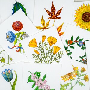 Conjunto de cartões pequenos de flores de jardim, cartões para todas as estações, cartões florais, tulipa, maçã, papoula, girassol, crisântemo, abóbora, cacto