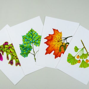 Assortiment de cartes de voeux de 5 x 7 pouces, jeu de cartes pour notes Feuilles d'automne, cartes pour les amateurs de jardin, érable, ginkgo, sycomore, chêne