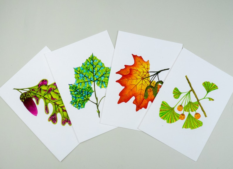 Leaf greeting card assortment, Autumn leaves set, Maple, Ginkgo, Sycamore, Oak image 1