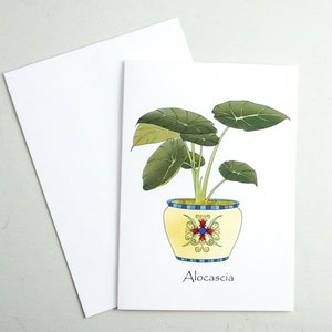 Carte de plante d'intérieur Alocascia, voeux de plante d'intérieur oreille d'éléphant, carte d'amant des plantes, plantes d'intérieur, plantations de serre, carte pour jardinier