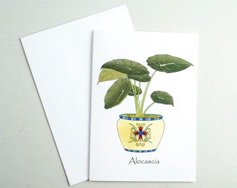 Alocascia house plant card, Elephant Ear houseplant greetings, plant lover card, indoor plants, greenhouse plantings, card for gardener