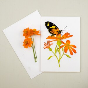 Tarjeta de felicitación de mariposa tigre de alas largas, papelería de mariposa, tarjeta de mariposa, tarjeta de polinizador, regalo para jardinero