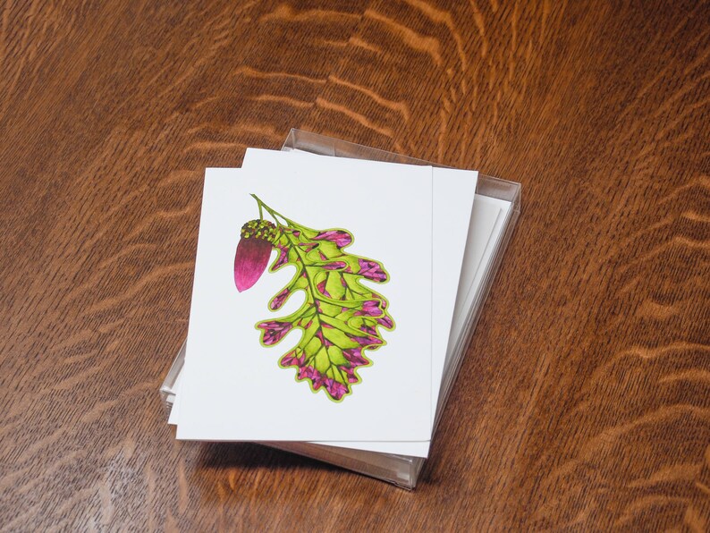 Leaf greeting card assortment, Autumn leaves set, Maple, Ginkgo, Sycamore, Oak image 10