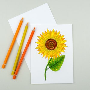 Cartão de girassol, cartão de flores em branco, cartão de arte botânica, personalização disponível, série de jardim