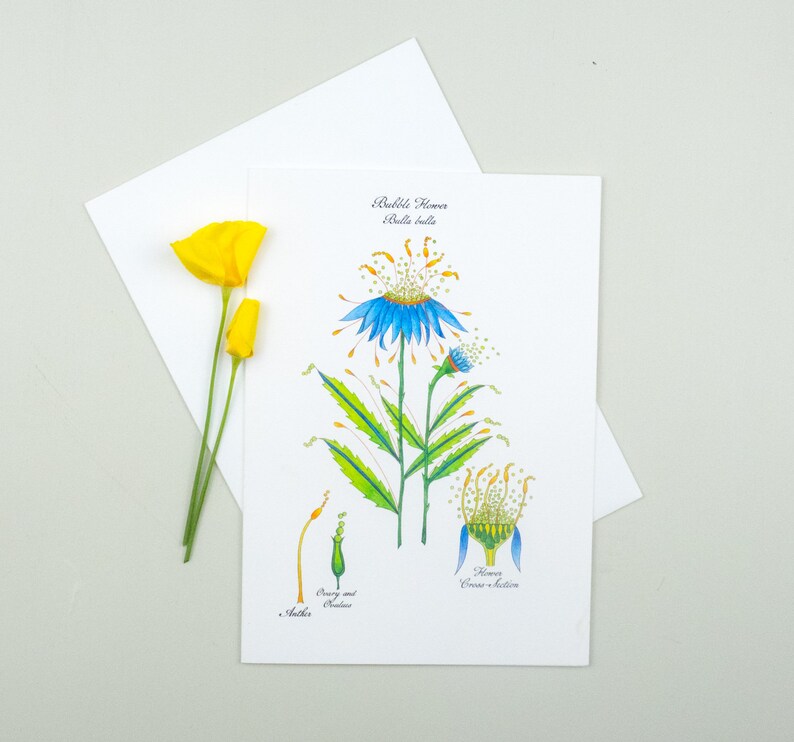 Botanical art card assortment, Handmade flower discount card set, Whimsical watercolor flowers image 5