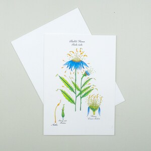 Biglietto con bollicine di champagne, biglietto d'auguri con illustrazione floreale, biglietto stravagante