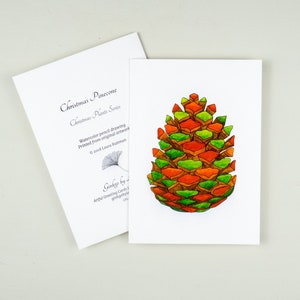 Biglietto con pigna, biglietto di auguri per le stagioni, biglietto di Natale, biglietto d'arte botanica