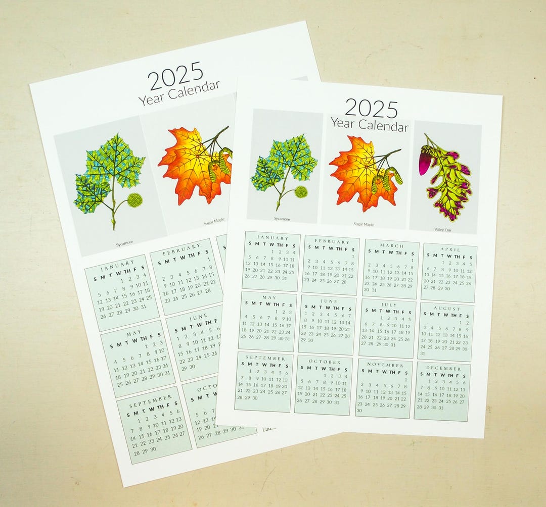 2025 Leaf Wall Art, One Page Wall Calendar, Sycamore, Maple, Oak Leaf ...