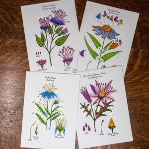 Botanical art card assortment, Handmade flower discount card set, Whimsical watercolor flowers image 7