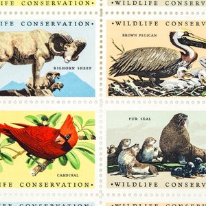 16 sellos de conservación de la vida silvestre, sellos cardinales, franqueo de oveja de cuerno grande, sellos de lobo marino, sellos de pelícano marrón, sellos de la naturaleza