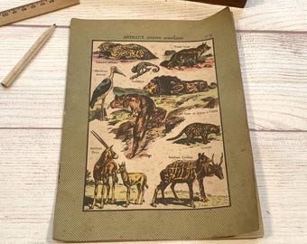 French Vintage Handwritten School Rough Book 1930s, Cahier de Brouillon, Notebook with Drawings & Calculations, Junk Journal Ephemera