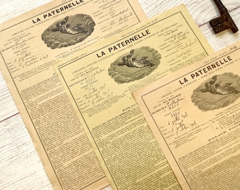 Antique 1903–1905 Harvest Insurance Documents, Handwritten & Stamped Farm Policies, Set of 3