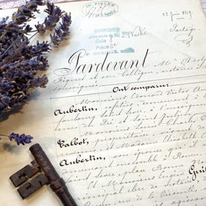 Beautiful 1869 20-Page Deed of Inheritance, Elegant Handwritten Script, Vintage French Legal Manuscript, Journal Ephemera
