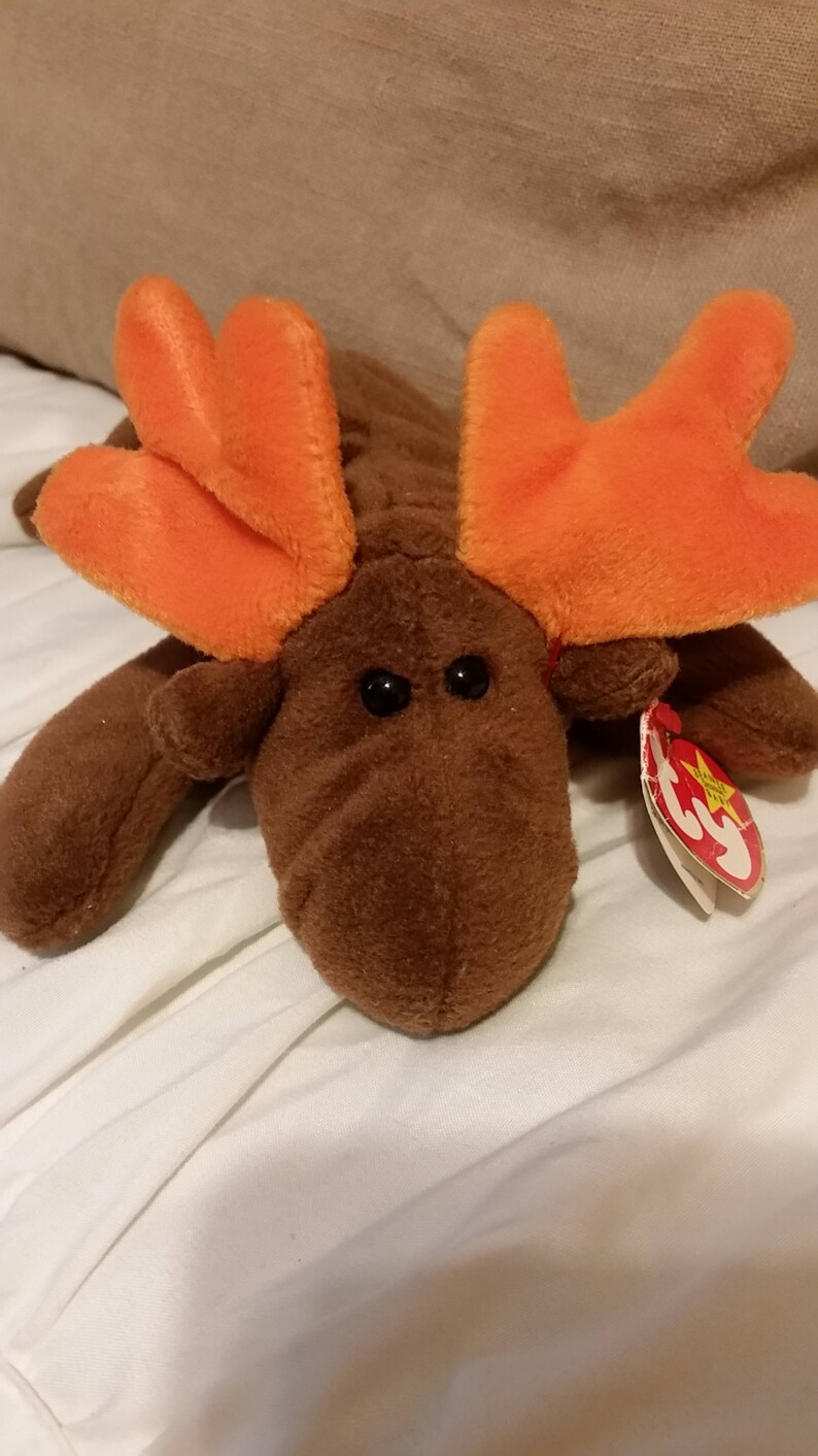 Chocolate the Moose Original Beanie Baby - Etsy