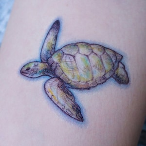 May include: A detailed drawing of a sea turtle with a green and yellow shell, swimming on a light blue background.