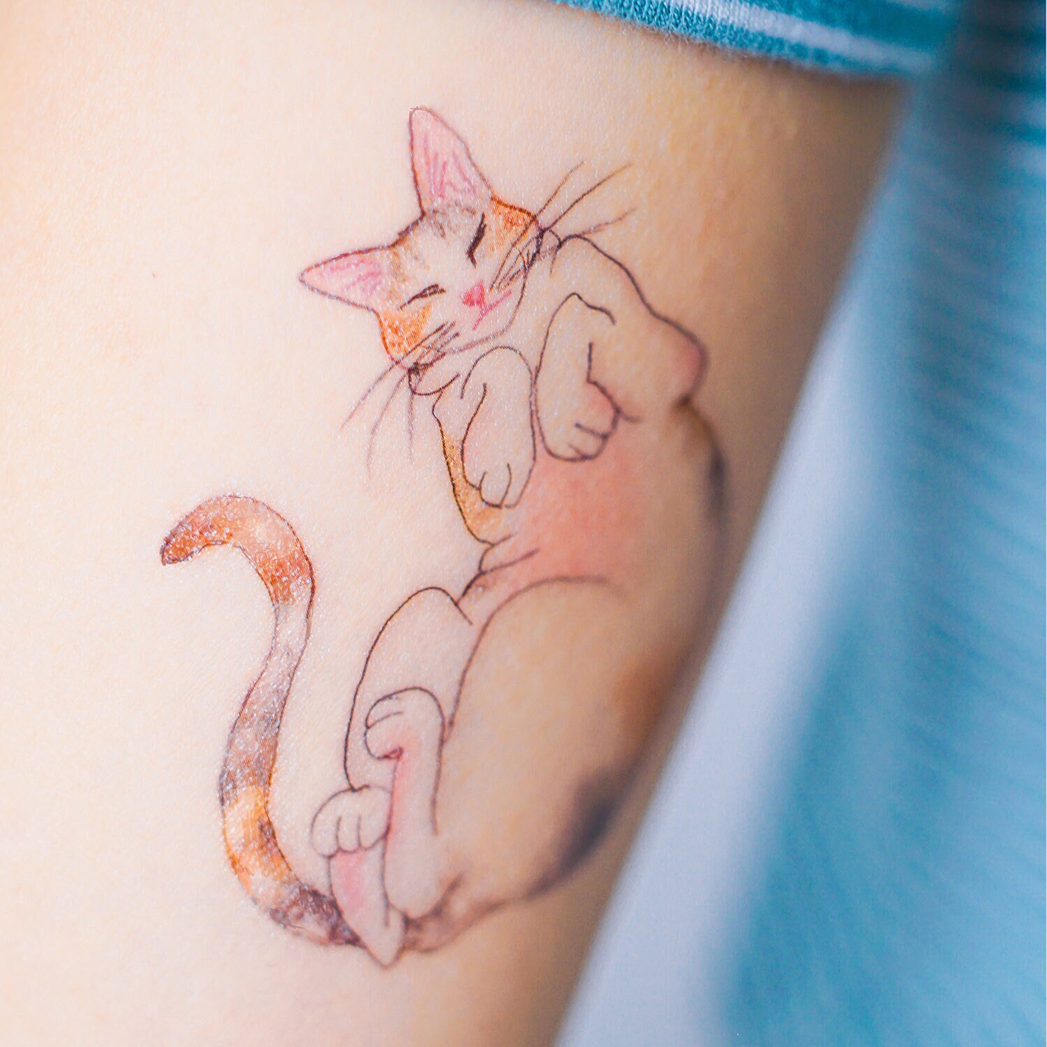 Cattoo huisdier tijdelijke tattoo sticker grappige kat speelse kat Tatts  Tatu leven van katten kunst Kitten Kitty Miauw dier Cattitude Tatouage  Temporaire - Etsy België, image size:1500x1500
