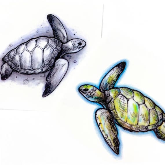 Mar Tortuga Acuarela Tatuaje Pegatina Animal Tatuaje Oceano Etsy Mar Tortuga Acuarela Tatuaje Pegatina Animal Tatuaje Oceano Etsy