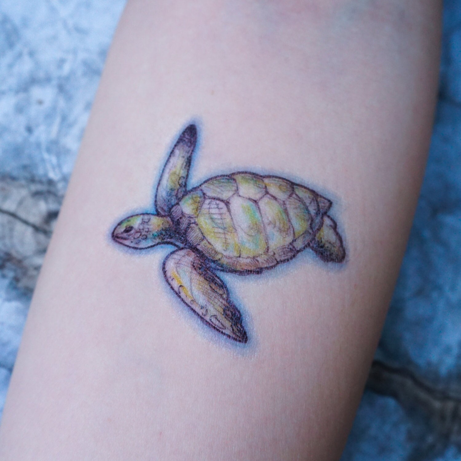 Details 186+ watercolor turtle tattoo latest