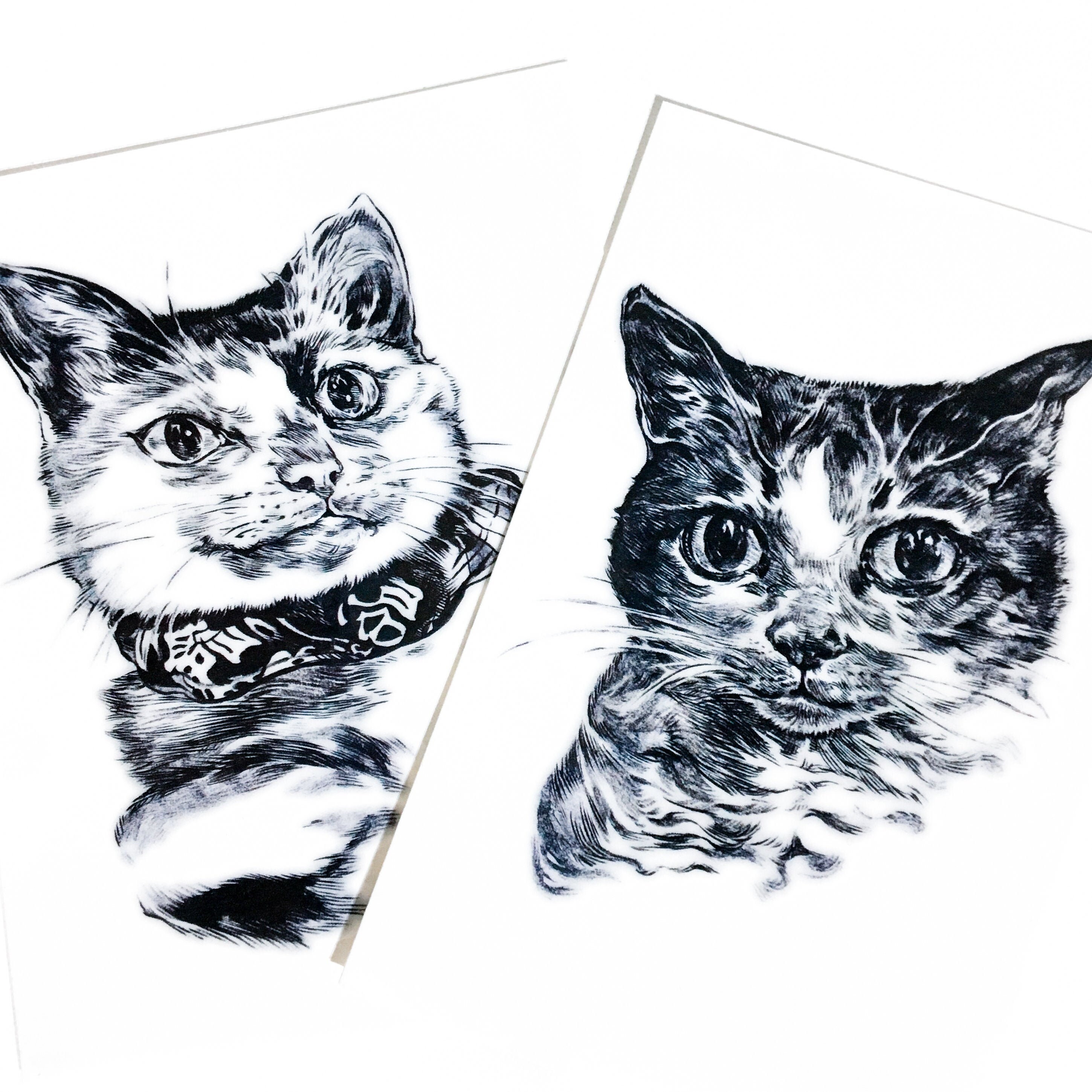 Mixed-breed Cat Cat Rescue Shelter Street Tattoo Etsy