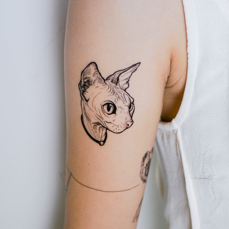 Cattoo Hairless Cat Tattoo Stickers Sphynx Cat Sphynx Kitten Etsy