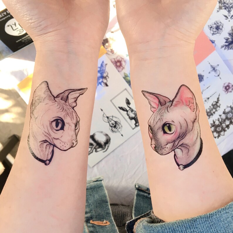 Cattoo Hairless Cat Tattoo Stickers Sphynx Cat Sphynx Kitten Etsy Canada