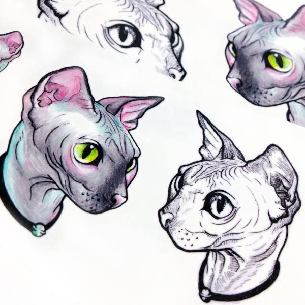 Cattoo Hairless Cat Tatouage Autocollants Sphynx Cat Sphynx Etsy