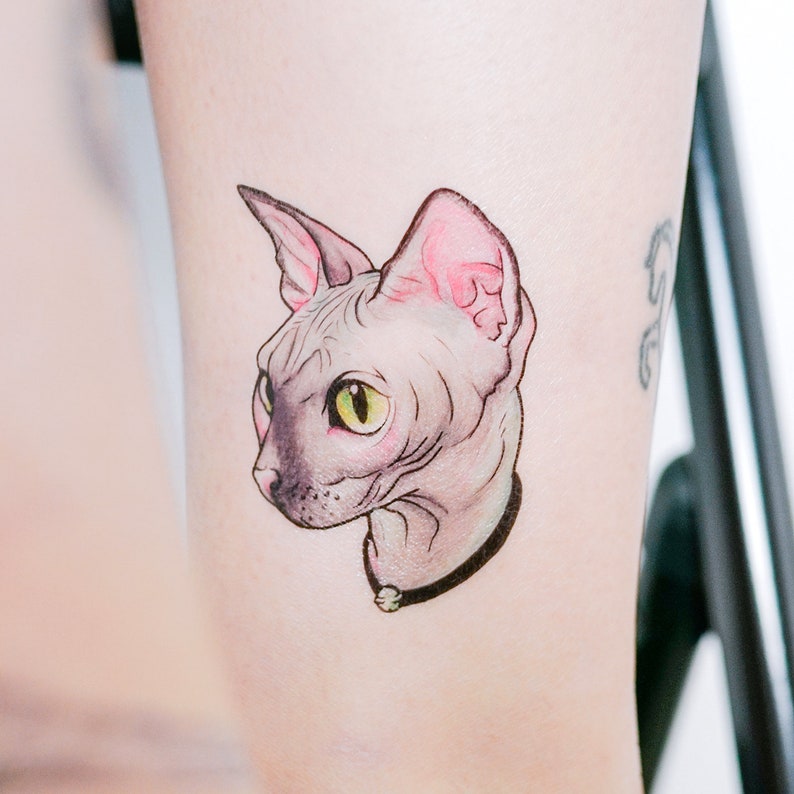 Cattoo Hairless Cat tattoo Stickers Sphynx Cat Sphynx Kitten Etsy