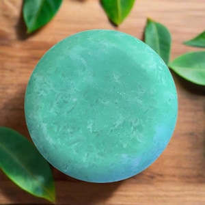 LIME COLADA Shampoo Bar