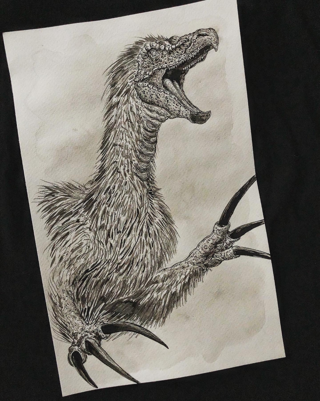 Therizinosaurus Original Ink Drawing // Dinosaur Art // Etsy