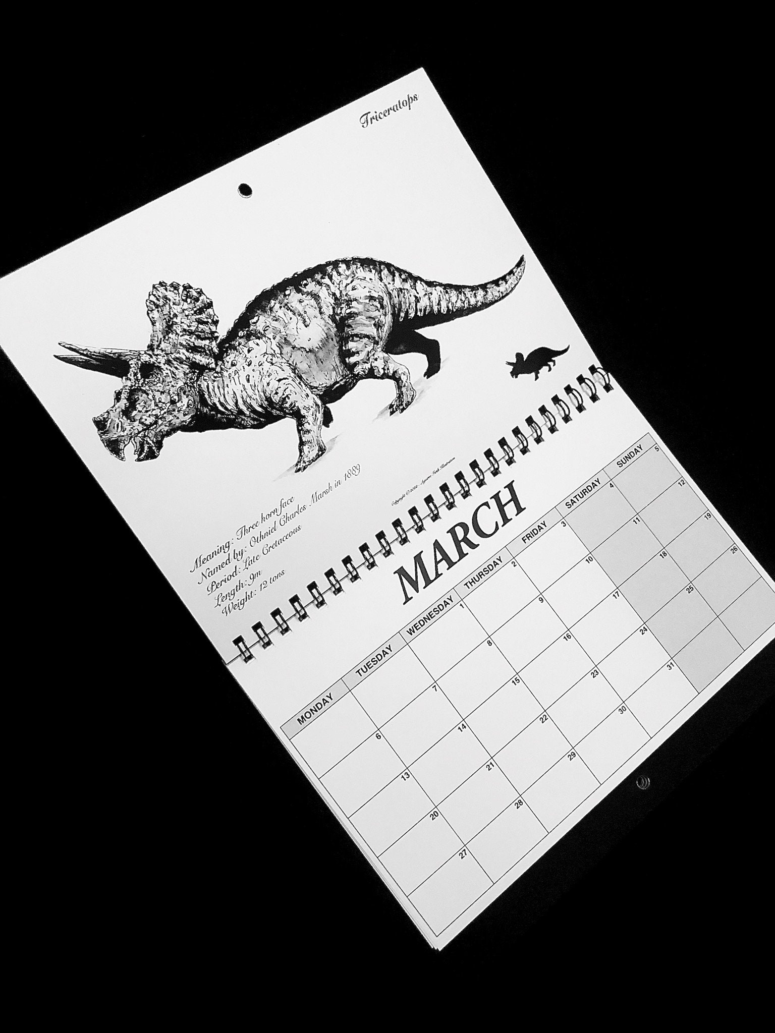 Calendrier 2024 spécial dinosaures