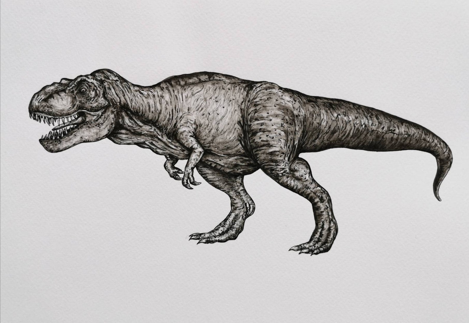 DESSIN T-REX ORIGINAL // Dinosaure // Jurassic Park // | Etsy
