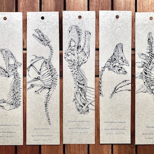 Dinosaur fossil handmade bookmark // Eco-friendly // Dinosaur // Gift