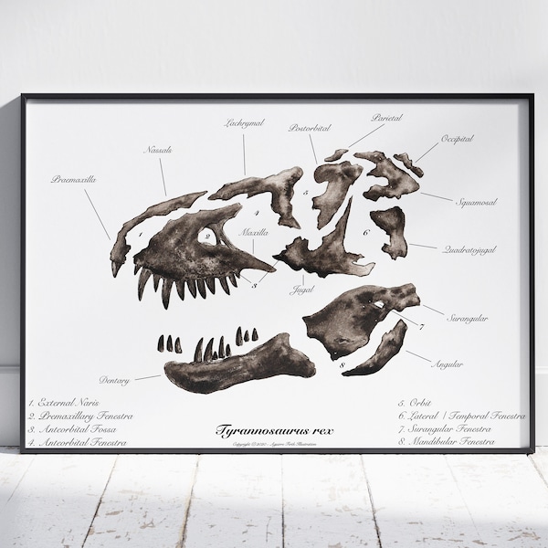 T-rex Skull Art Print