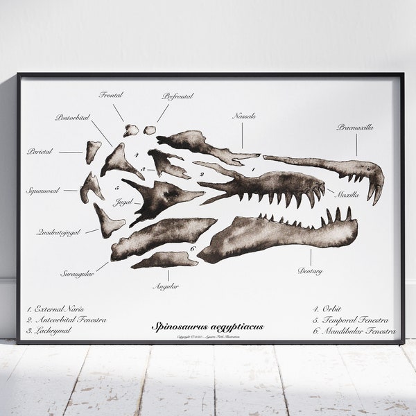 Spinosaurus aegyptiacus Skull Art Print