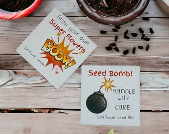 Custom Seed favours - Kids Party Gift Idea - Seed Bomb - Eco Friendly Party Bag Filler - Superhero Party Personalised Bags - Sunflower Seeds